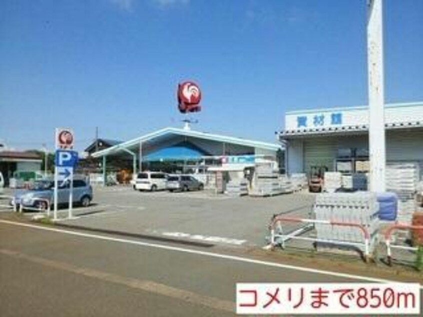 コメリ(電気量販店/ホームセンター)まで850m ヴィオラ