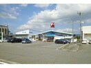 コメリハード＆グリーン越路店(電気量販店/ホームセンター)まで1163m ハイツＮＡＫＡＹＡⅠ