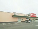 クスリのアオキ半田店(ドラッグストア)まで1037m アイケーパープルA