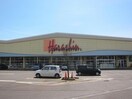 原信宮関店(スーパー)まで1615m スプリングハイツ