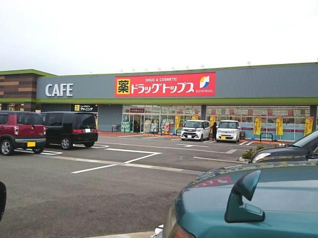 ドラッグ・トップス城岡店(ドラッグストア)まで2224m プランドール（下々条）