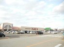 SUPER　CENTER　PLANT－5見附店(電気量販店/ホームセンター)まで2028m シャーロットダイアナ