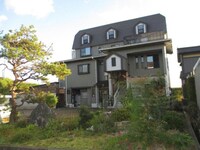 ピュアグリーン