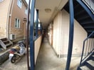 FLAT光