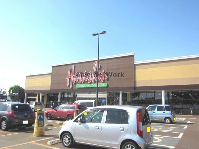 原信川崎店(スーパー)まで251m ソルテリア