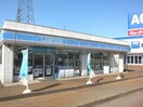 ローソン長岡川崎町店(コンビニ)まで457m サイニーアⅡ