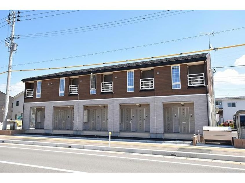  ルピナス（旭岡）