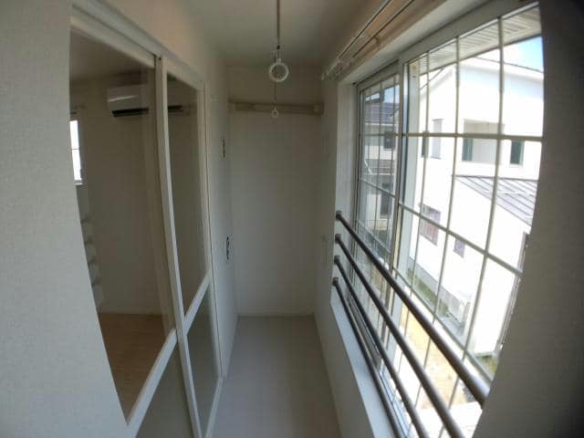  ルピナス（旭岡）