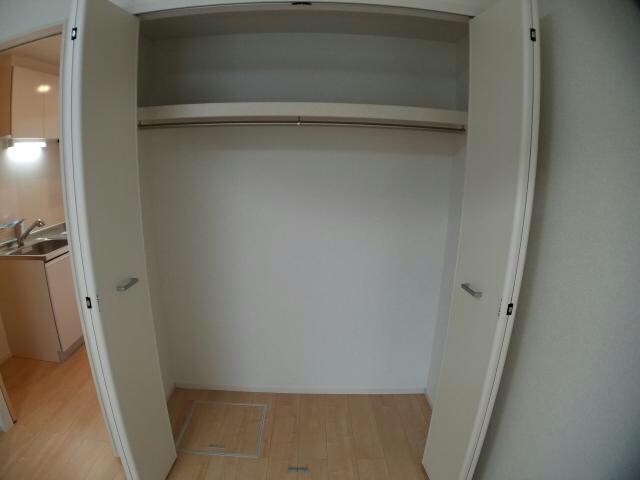  ルピナス（旭岡）