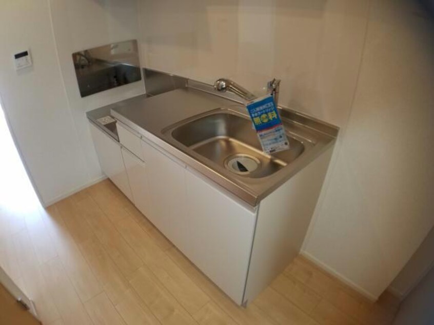  ルピナス（旭岡）