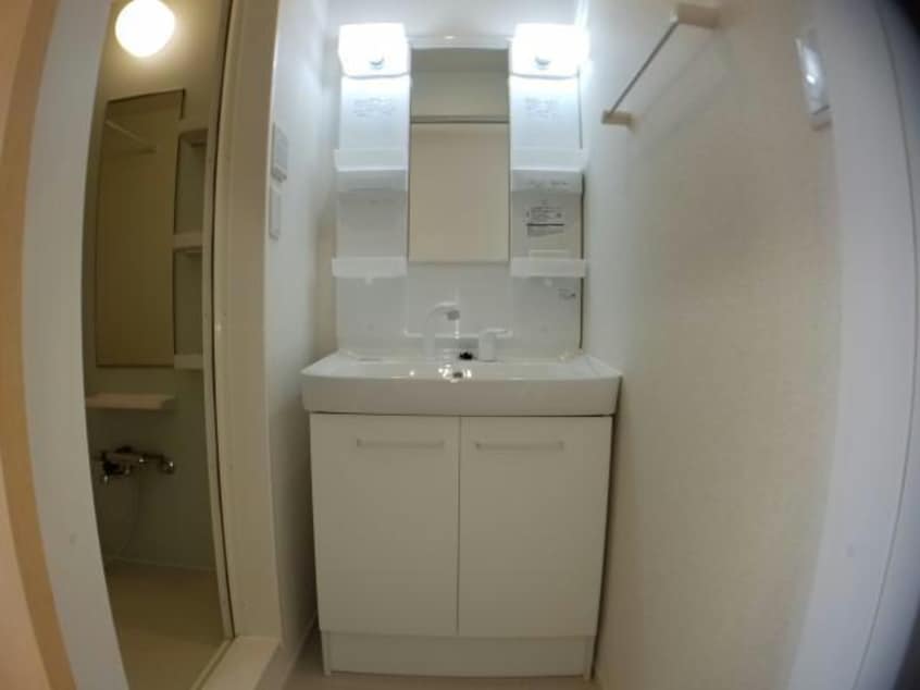  ルピナス（旭岡）