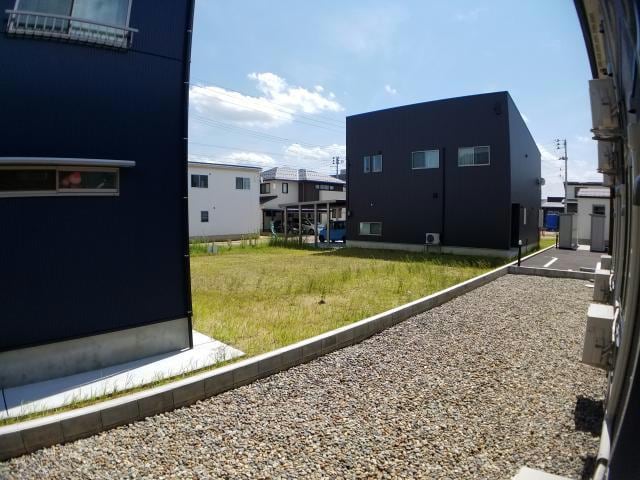  ルピナス（旭岡）