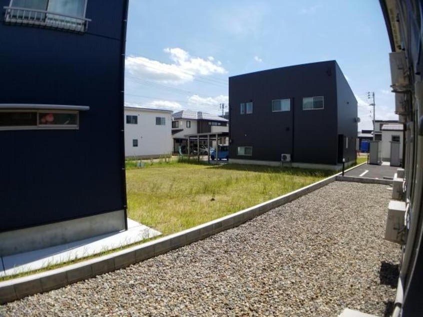  ルピナス（旭岡）