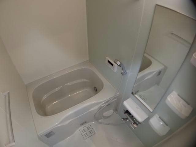  ルピナス（旭岡）