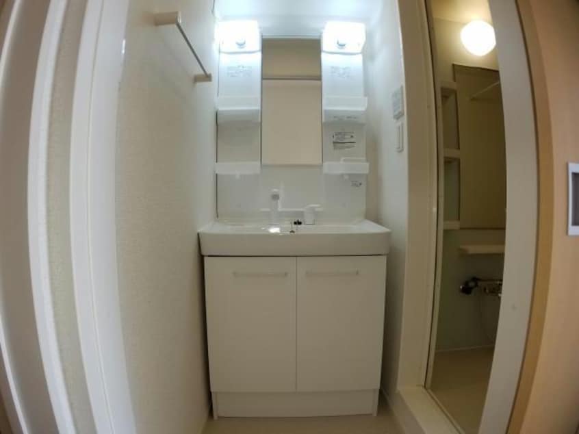  ルピナス（旭岡）