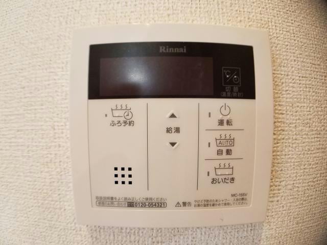  ルピナス（旭岡）