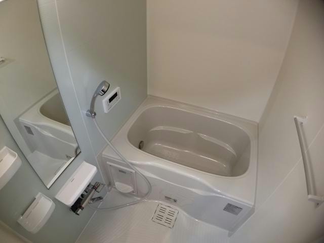  ルピナス（旭岡）