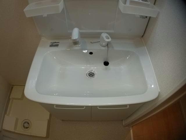  ルピナス（旭岡）