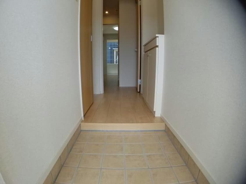  ルピナス（旭岡）