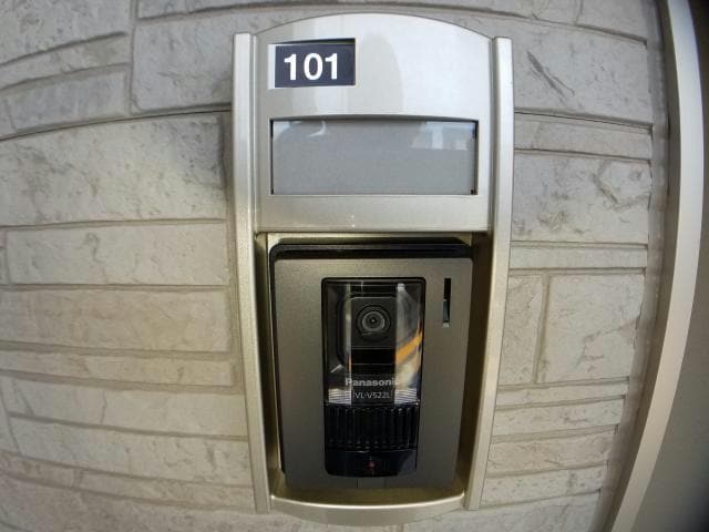  ルピナス（旭岡）