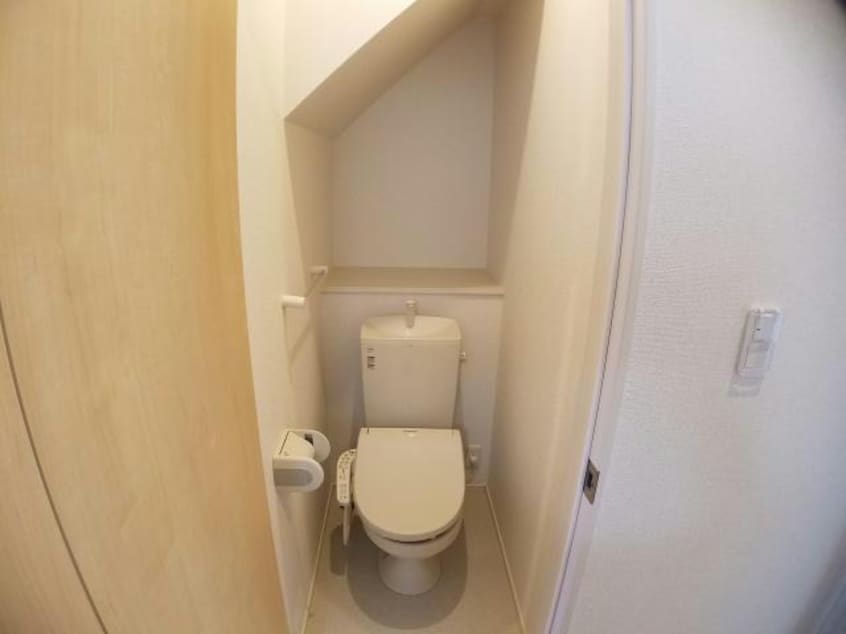  ルピナス（旭岡）