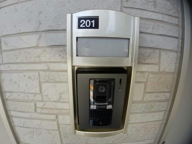  ルピナス（旭岡）