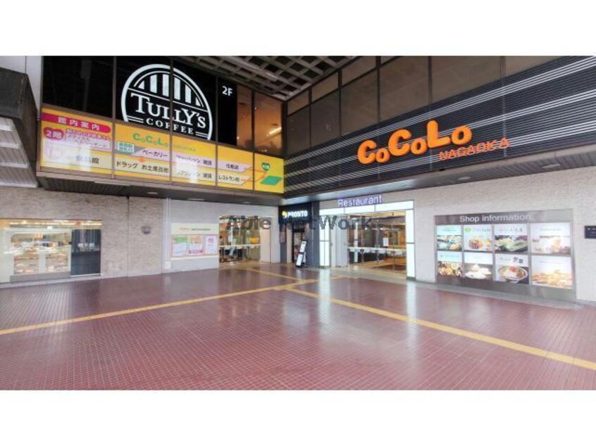 CoCoLo長岡(ショッピングセンター/アウトレットモール)まで1046m マンションメゾンわたり
