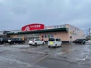 クスリのアオキ大島店(ドラッグストア)まで464m ＳＵＮマスヤ