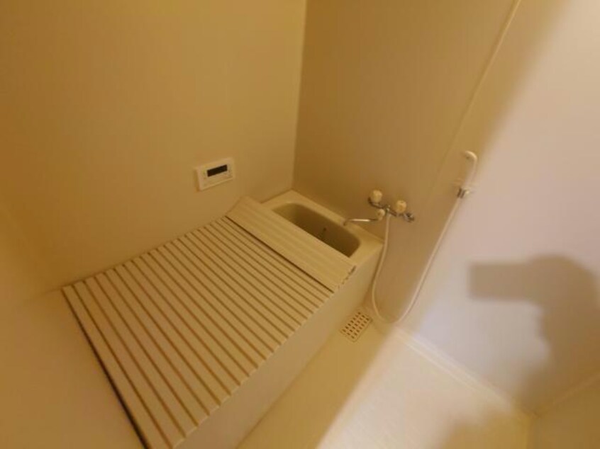  ノーベルウジタ