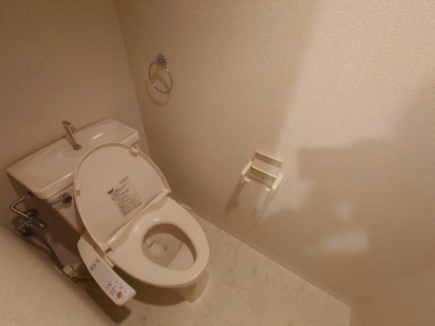  ノーベルウジタ