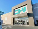 ニトリ宇部店(電気量販店/ホームセンター)まで1537m フォンターナ　フェリチータC