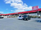 ホームセンタージュンテンドー厚南店(電気量販店/ホームセンター)まで1105m ランドマーク・Ｆ　Ⅲ