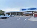 ホームプラザナフコ宇部店(電気量販店/ホームセンター)まで1491m ＳｈａＭａｉｓｏｎ　ＭＡＡＭＩ