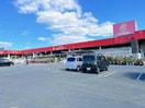 ホームセンタージュンテンドー厚南店(電気量販店/ホームセンター)まで537m シャーメゾンディモア