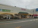 丸久厚狭店(スーパー)まで1260m シャーメゾン殿町