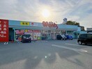 ウォンツ宇部新川店(ドラッグストア)まで975m ヴィラ・アンぺリアル