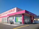 ディスカウントドラッグコスモス東高泊店(ドラッグストア)まで738m シャーメゾン　カーザ・フェリース