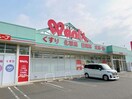 ウォンツ宇部沼店(ドラッグストア)まで494m Ｍｅｒｒｙ－Ｙ・Ｔ