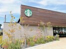 スターバックスコーヒー宇部琴芝店(その他飲食（ファミレスなど）)まで606m ウェルスＵ