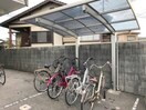  アムール