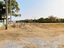 小羽山中央公園(公園)まで1401m ドリームヒルズ