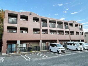 カリダ　ウェントゥス