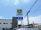 マルショク床波店(スーパー)まで598m メゾン・ドセリーヌⅠ