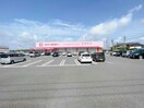 ディスカウントドラッグコスモス東岐波店(ドラッグストア)まで292m 大石グランコート　Ｂ