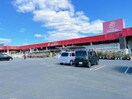 ホームセンタージュンテンドー厚南店(電気量販店/ホームセンター)まで1636m サンシェルテ