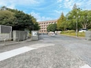 国立山口大学工学部(大学/短大/専門学校)まで1583m コーポ林