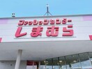 ファッションセンターしまむら西岐波店(ショッピングセンター/アウトレットモール)まで1334m グランド・ウィッシュ