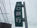 山口銀行藤山支店(銀行)まで261m ルピナス