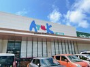 アルク恩田店(スーパー)まで1269m エステート野原