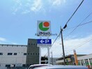 マルショク床波店(スーパー)まで2370m アバンツァート　Ｂ